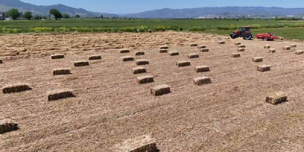 Tarlada balya mesaisi başladı! Fiyatın bu yıl 2 katına çıkması bekleniyor 3